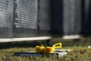 Nov 5 2025 escort photos