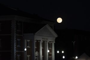 Nov 5 2025 escort photos