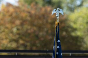 Nov 5 2025 escort photos